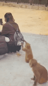  画法|搞笑GIF：这是我见过的最容易的3D画法！没有之一！