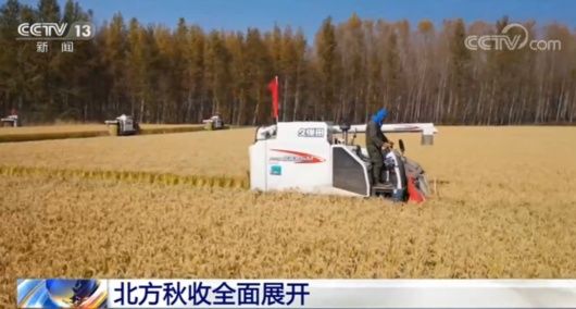 颗粒归仓|北方各粮食主产区积极组织抢收快收 确保粮食颗粒归仓
