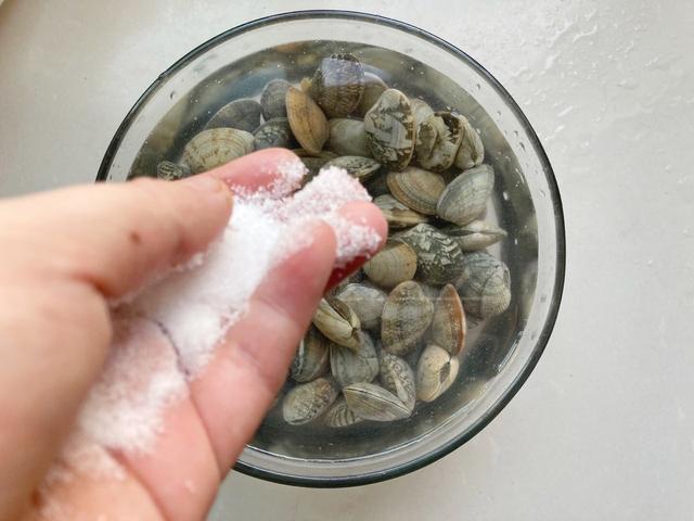 花蛤|爆炒花蛤,营养丰富,香辣开胃超下饭