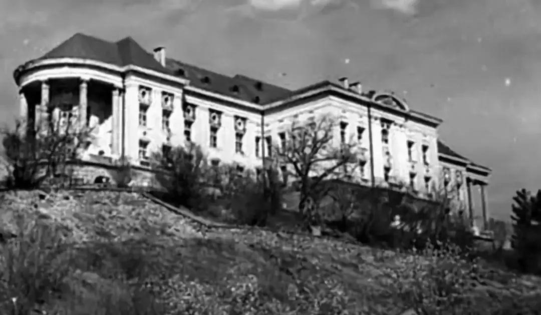 暴力|暴力突袭: 1979年苏军刺杀阿富汗总统行动始末