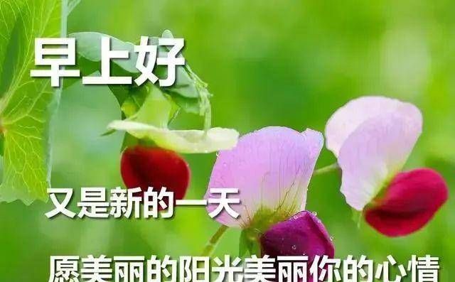 深呼吸|深呼吸，呼吸花香，装点今天的心情！