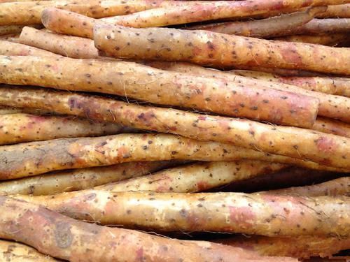 特别|山药吃对是“补药”,吃错是“火药”,尤其这4类人,特别要小心