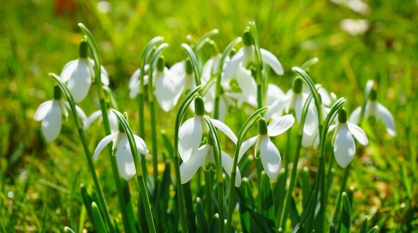 发大财|8月开始好运相伴,财富大利,闷声发大财的四大生肖