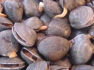 今日|今日开海!这84种海鲜,你都认识吗?你真的会吃海鲜吗?