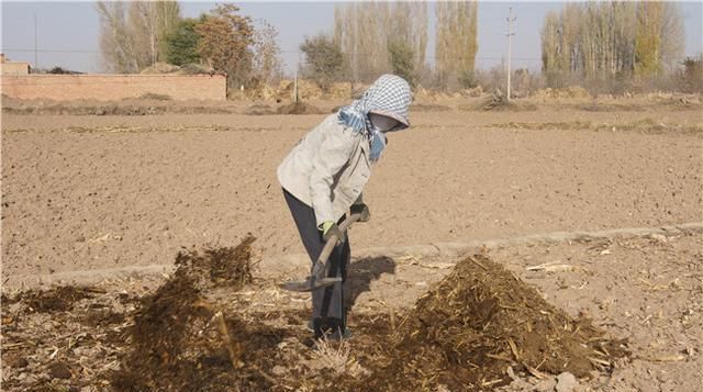  农家肥料|扒一下有机肥的底裤：切实分析下化肥对于农民的重要性