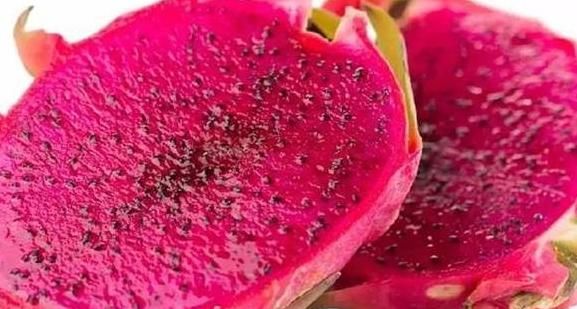 火龙果|买了多年的火龙果,才知道挑火龙果要看哪里,花最少钱挑最甜的买