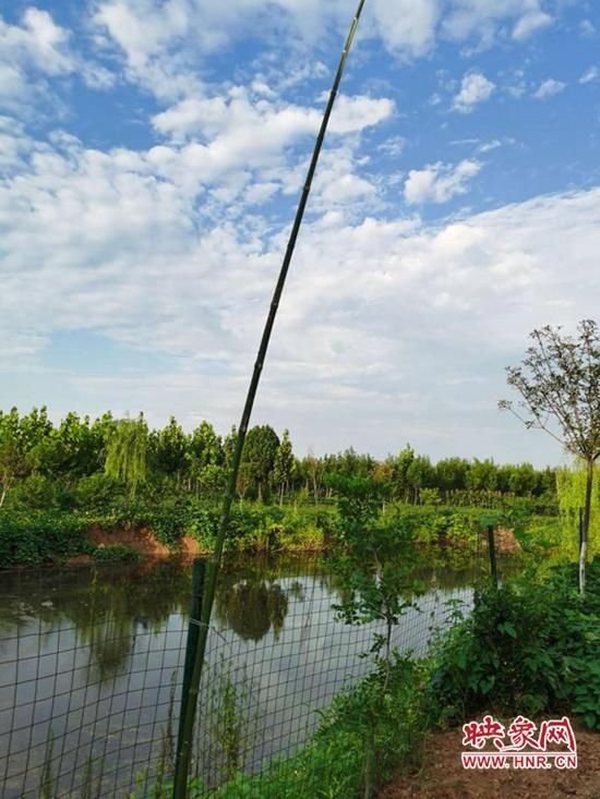  出新招|西平县师灵镇：防溺亡出新招 水塘配竹竿