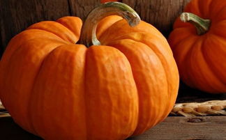 南瓜|美味的南瓜发糕,柔软不甜腻,老人小孩都喜欢吃