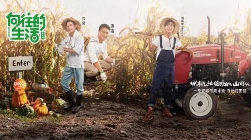  雷同|何炅好口碑遭质疑？主持新综又陷抄袭门，被指雷同日综段子都照搬