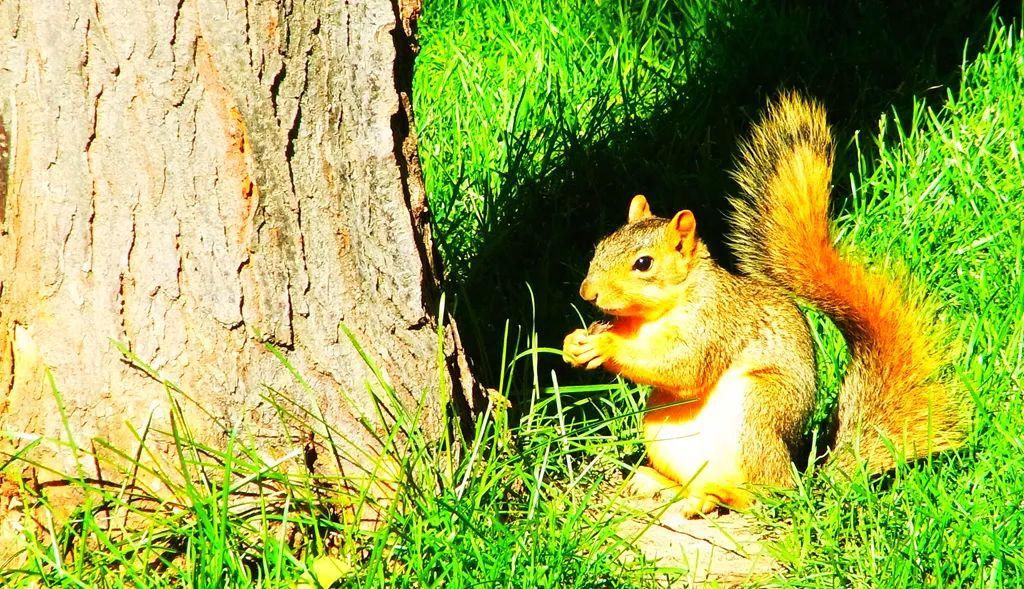  美国|tao：骑行美国·39 重生的丹佛