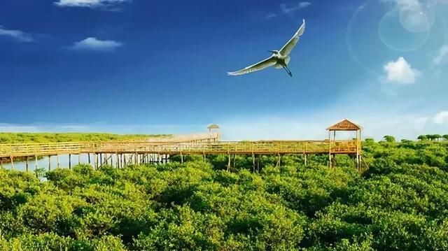 海中|中国这个美丽海滨！城在海中、海在城中，藏着绝妙生活却少有人知