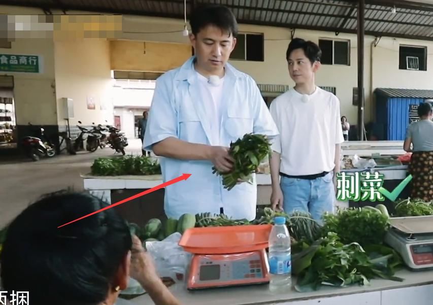  眼花|何炅黄磊出门买菜，谁注意他手上一共拿了多少钱？我没眼花吧！