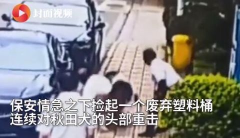 保安|可怕！大爷被狗撕咬保安两次上前施救