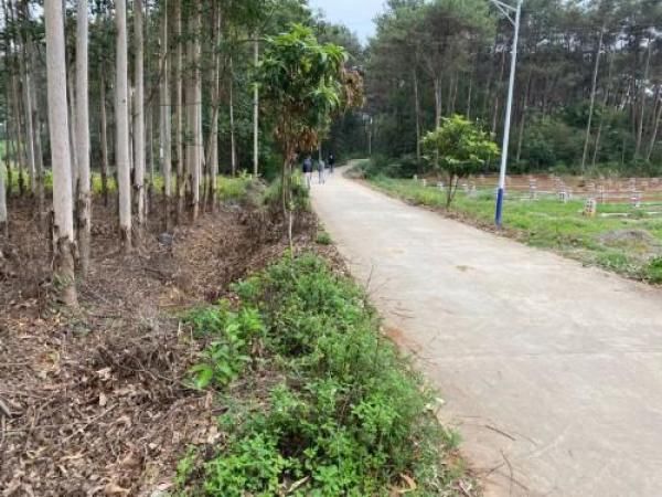 横县|17年前横县发生连环杀人案,凶手劫财杀人后竟对同伙动了杀心……