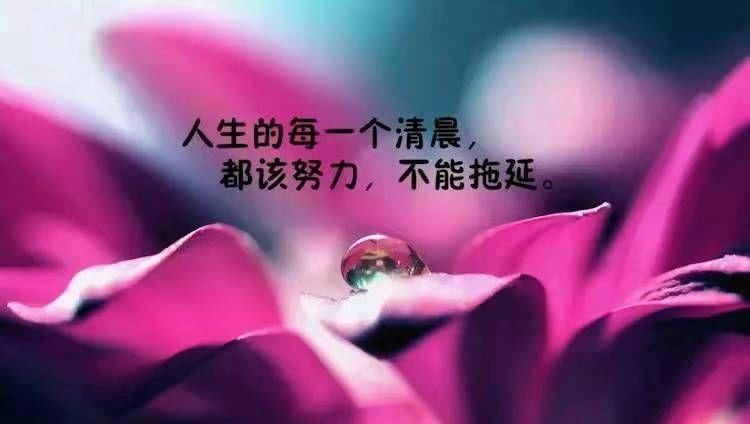 现实|人没钱的现实句子，精辟犀利，直戳人心