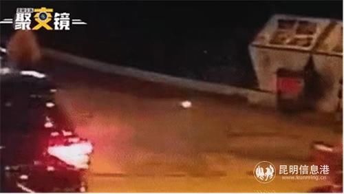  电动自行车|男子一时分神骑电单车追尾小轿车 交警：电单车全责