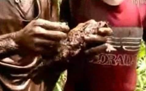  人命|33条人命的教训！这4类文玩都是用命换来的