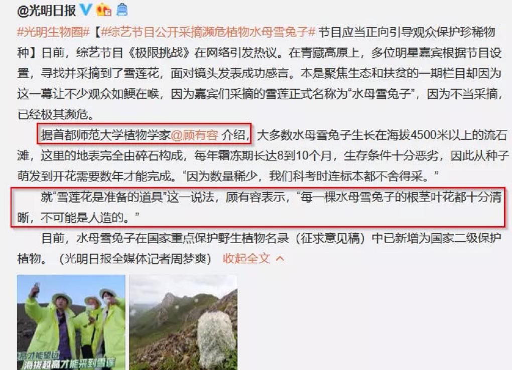  植物学家|刘宇宁就摘雪莲一事道歉，澄清系节目组道具，植物学家打脸：不可能是人造的