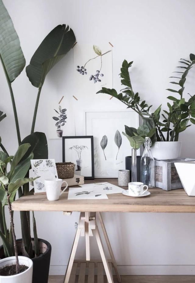  吊钟|她们的家，美得很让人种草