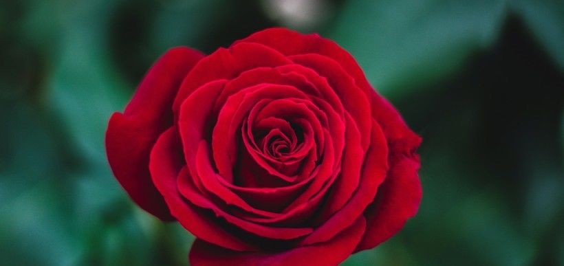 自来|7月下旬,运势逆袭,事业爱情全来,财源广进,鸿运自来四生肖!