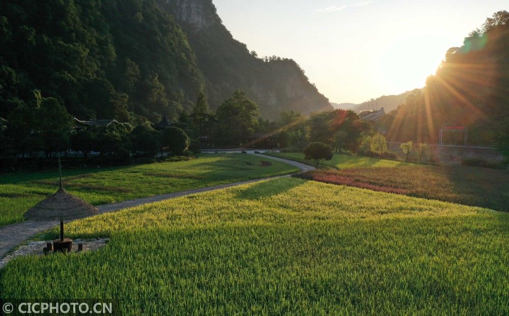  湖南|湖南张家界：朝霞绚丽 田园如画