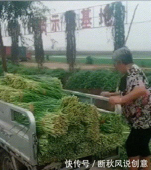 内涵|内涵段子:姐,别说,你就是一只行走的活粽子啊!