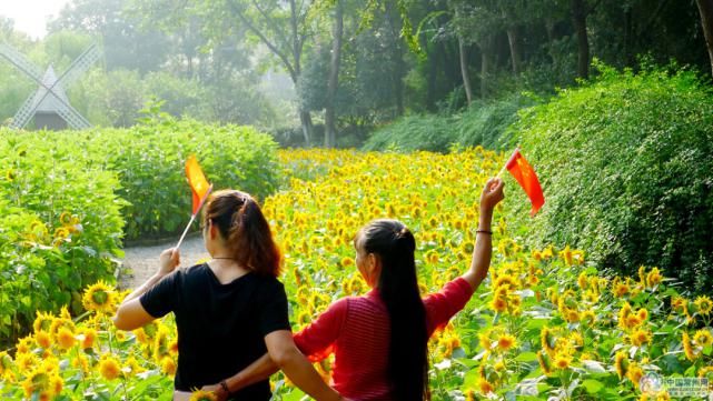 公布|“国旗随手拍”初评名单公布，快来为你最爱的作品点赞！