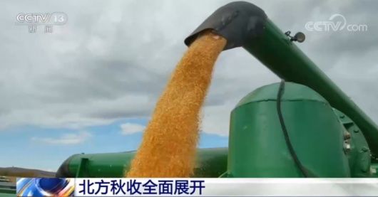 颗粒归仓|北方各粮食主产区积极组织抢收快收 确保粮食颗粒归仓