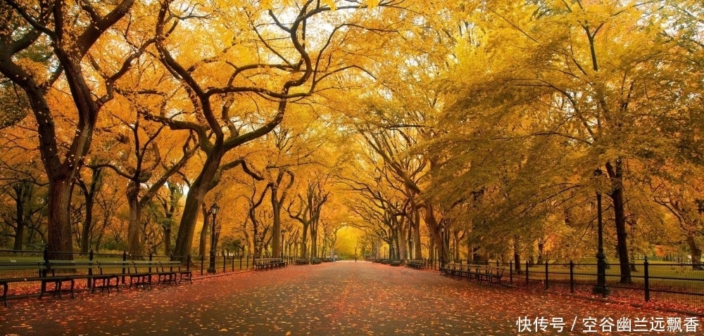  桃花运|未来3个月，桃花运上升，爱情说来就来，真爱来了挡不住的3大星座