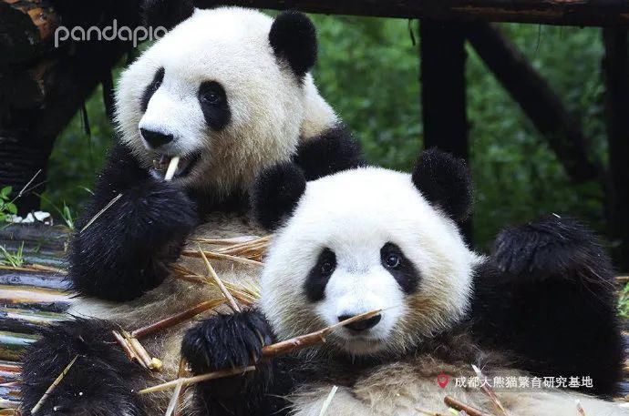 故事|出彩“滚滚” | 你有你的“三十而已”,我们的三十又是另一个故事~