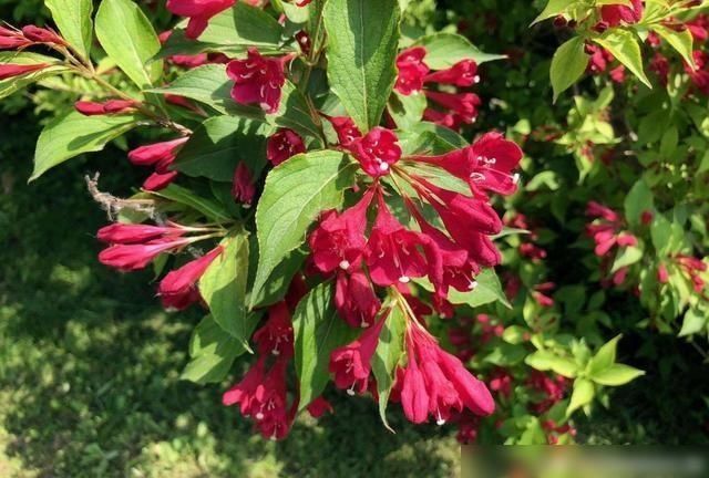  星座|天命好几大星座，遇事总有贵人帮忙，事事如意