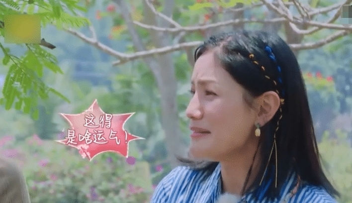 数额|金瀚十岁就中彩票大奖,得知具体数额后,谢娜胡可都惊呆了