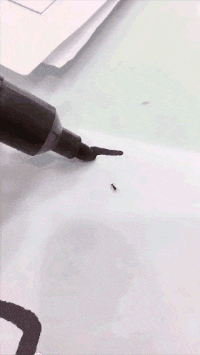 快餐店|“快餐店遇到想要照顾一生的女孩,我该怎么去搭个讪?哈哈哈哈哈”