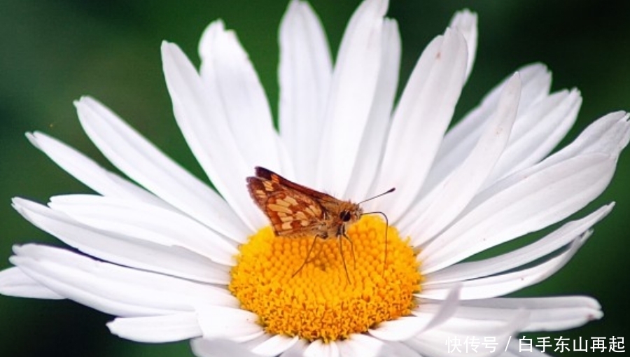生肖|十月上旬开始,财神进家门,好运多多,喜事成双的生肖