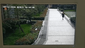  母亲|9岁男孩18楼扔下自行车险砸中行人 母亲陪同道歉