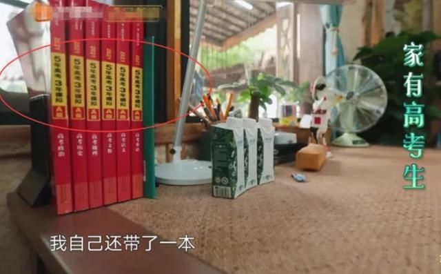  张子枫|《向往的生活》原来是学习综艺！张子枫同款备考法，顺利拿会计证