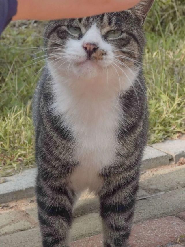 师大人|亲,好久不见