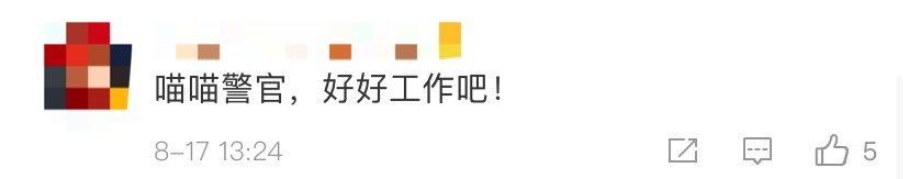  奶猫|流浪奶猫暴雨中被警察蜀黍救下，还在警队找到了工作……