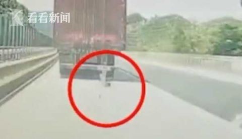  司机|司机涉嫌遮挡号牌?行车记录仪还原真相...太巧了