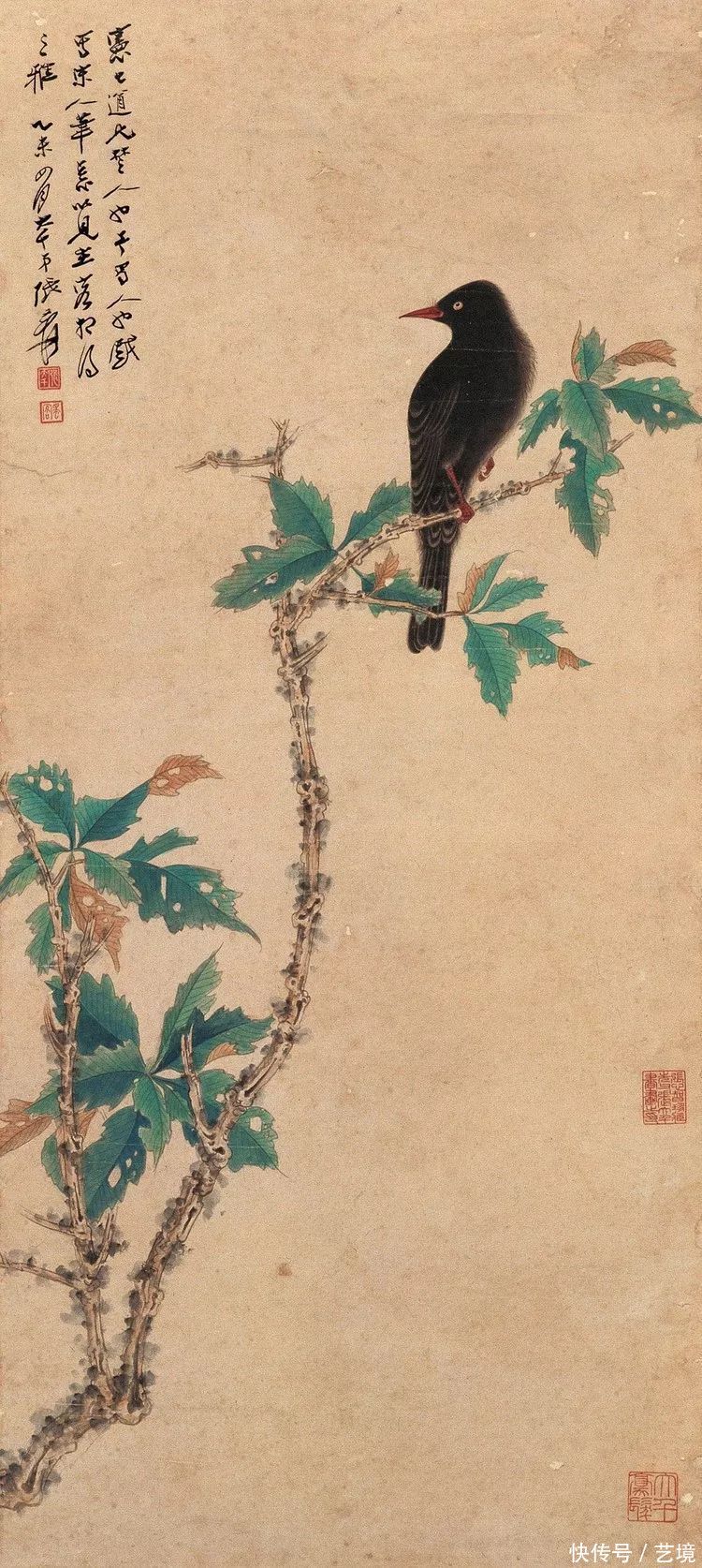 张大千花鸟画欣赏（100幅）