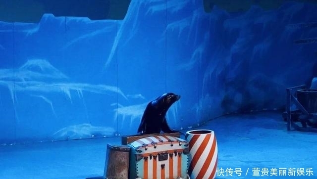 看过|看过太多的海,仍为这座“北方明珠”着迷