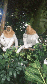 有人|搞笑GIF:只要带女朋友上街,肯定会有人来跟她拍照