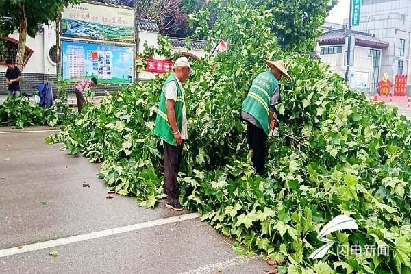 树木|济宁曲阜市园林管理中心雨住不停歇全力整修倒伏树木