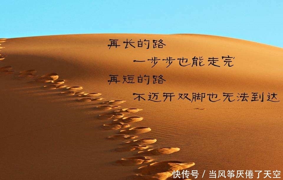 细品|人生如酒,细品人生