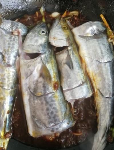 鲜嫩|做鲅鱼,建议不要加水炖,海边人都这样做,鱼肉鲜嫩无腥味,真香!