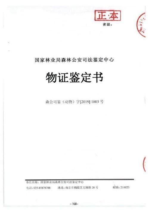 许某某|非法猎捕23只獐子!判刑+赔偿野生动物资源损失