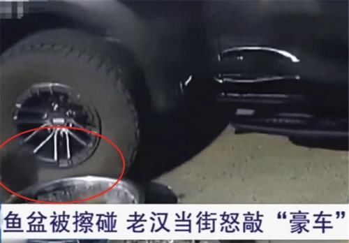 老汉|80万猛禽撞了几个鱼盆，大爷抄起扁担就开砸：年轻人太没素质了！