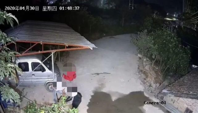 生仔|破案！新兴多条村被人偷狗，原来是这4名后生仔做的！