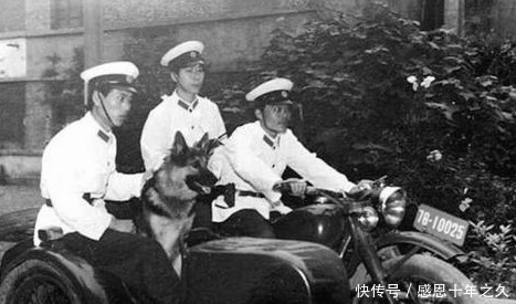 犯案|男子10年犯案380起，被称作双桥老流氓，300民兵蹲守都没抓住