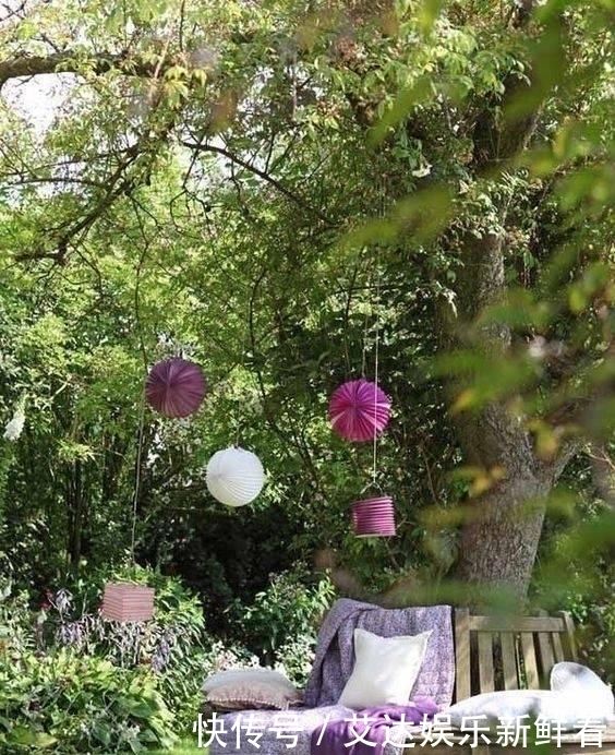 暮年|你我暮年,有个小院,足矣!